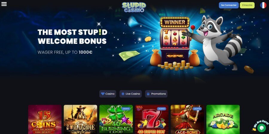 Stupid Casino page d'accueil